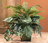 Forest Fern and Ivy Silk Floor Plant