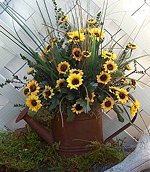 Summer Sunflower Watering Can