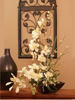 Cymbidium Soft Silk Orchid