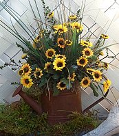 Summer Sunflower Watering Can