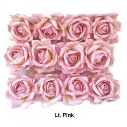 light-pink-roses
