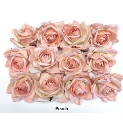 peach-roses