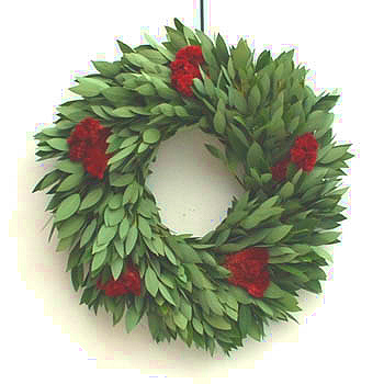 18" Fresh Bay Celosia Wreath