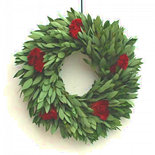 18" Fresh Bay Celosia Wreath