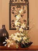 Cymbidium Soft Silk Orchid
