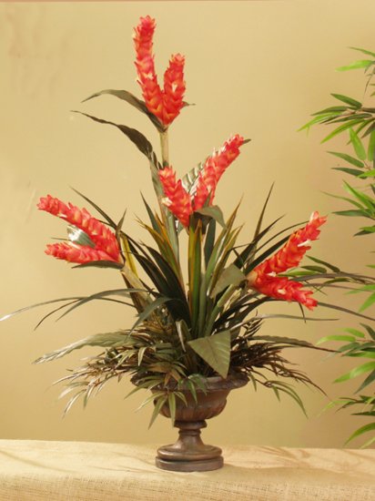 Tropical Red Ginger Silk Orchid