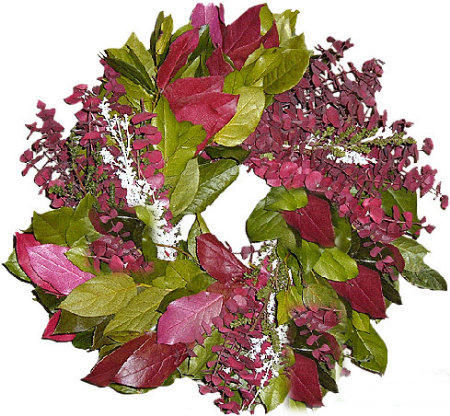 Sugar Plum Wreath