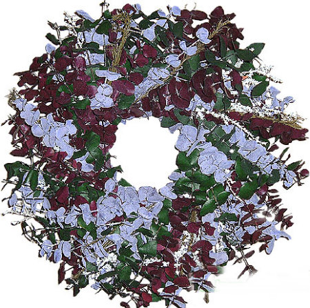 Vineyard Eucalyptus Wreath
