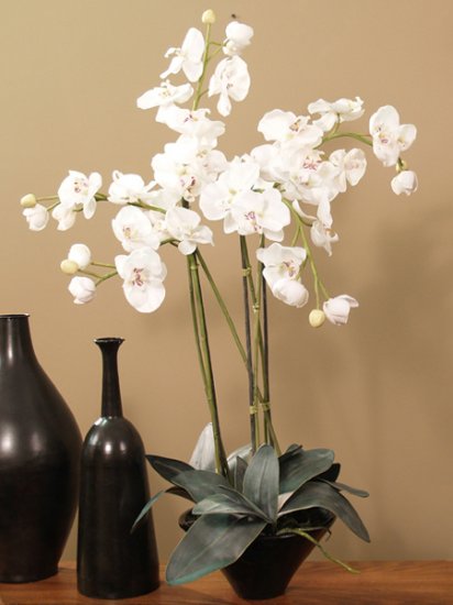 Linen White Silk Orchid