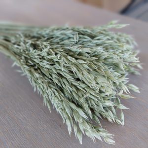 green dried oats bouquet