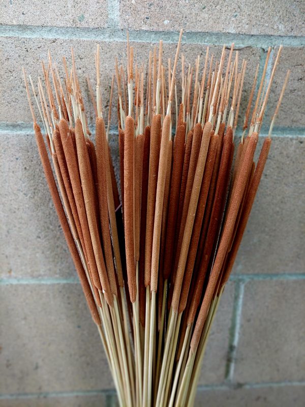 Dried Mini Cattails - Lrg Bunch of 100