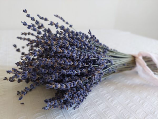 English lavender bouquet