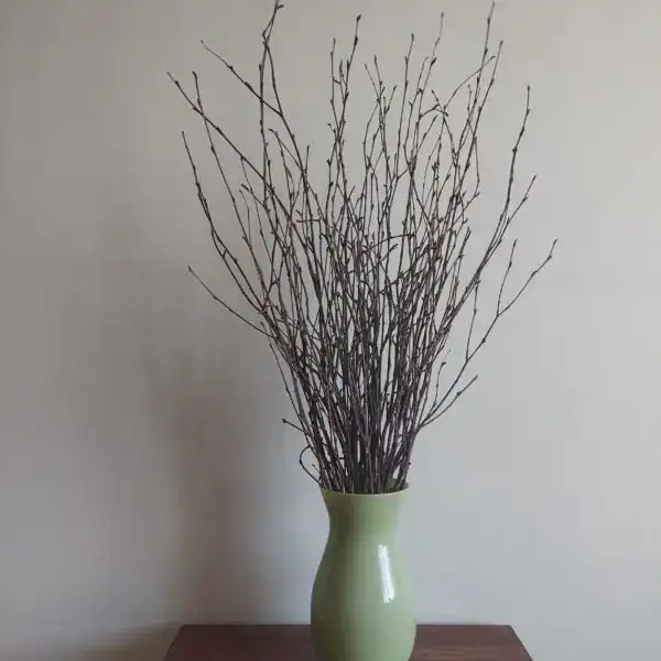 Natural dried twigs in a green ceramic vase for rustic floral decor.