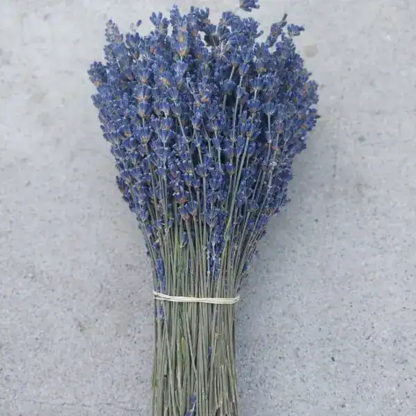 Lavender bouquet for dried floral arrangements and home decor.