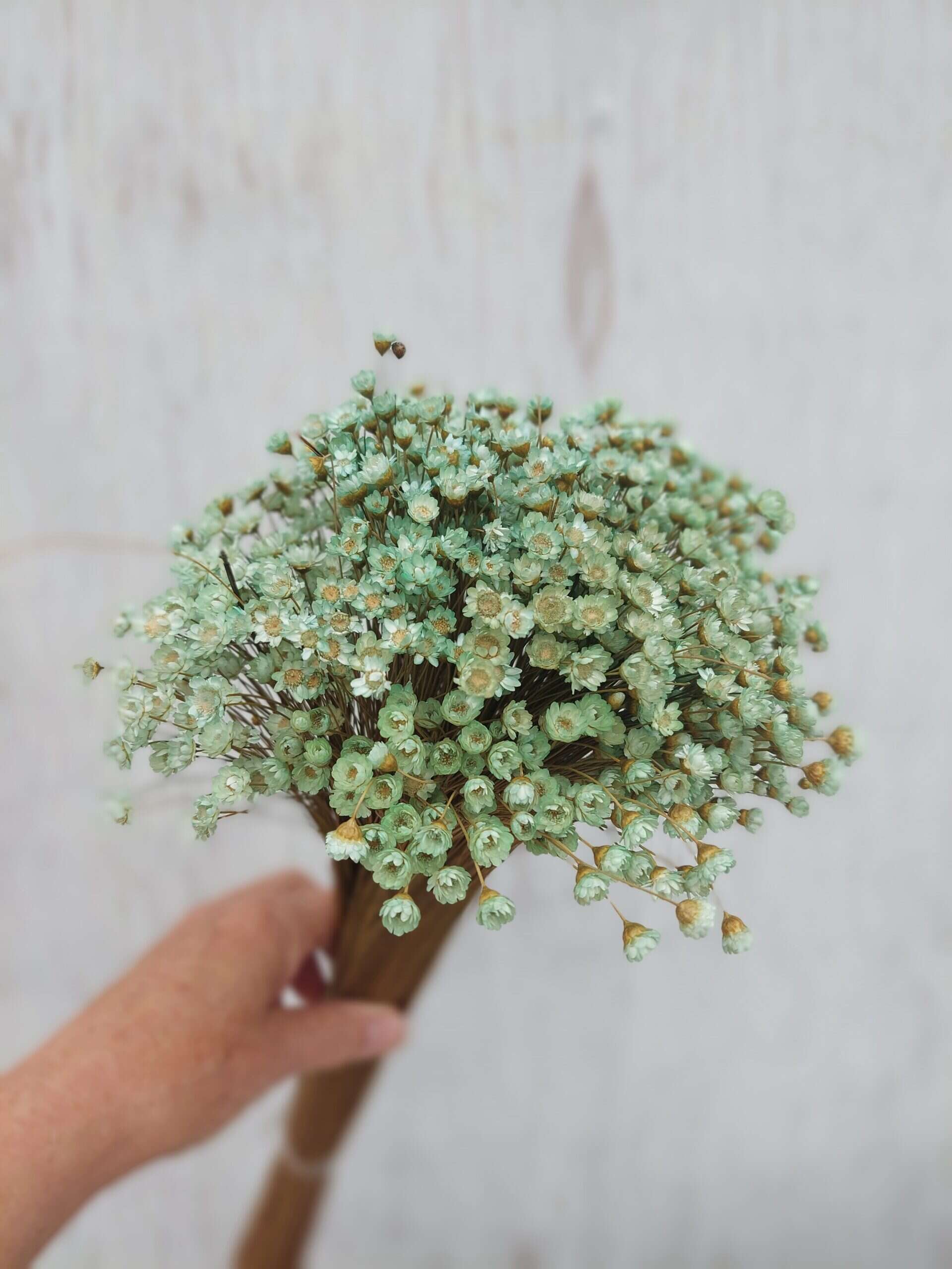 Dried floral bouquet with small mint-green flowers, suitable for home decor and wedding arrangements.