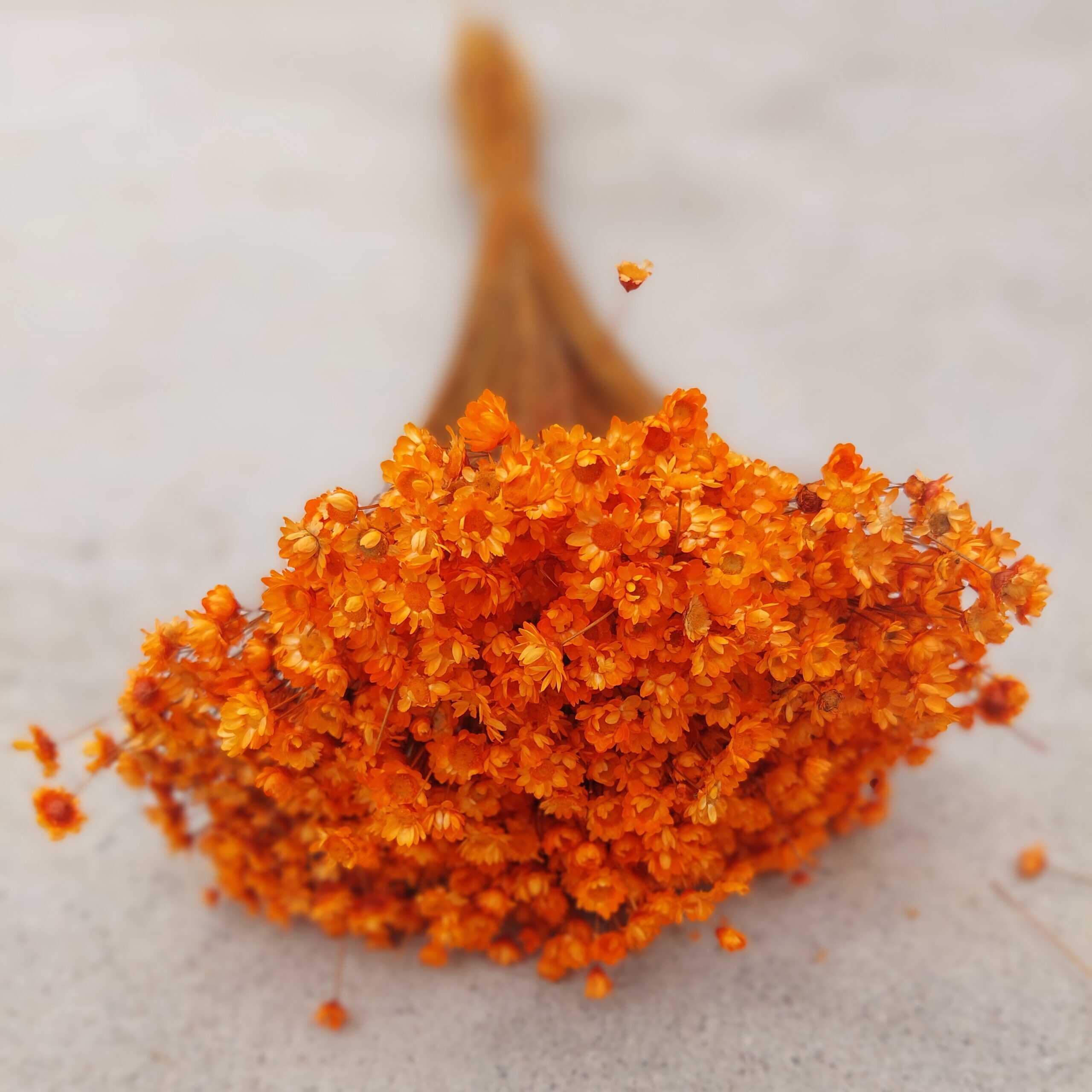 Vibrant dried orange flowers for floral decor and crafts.