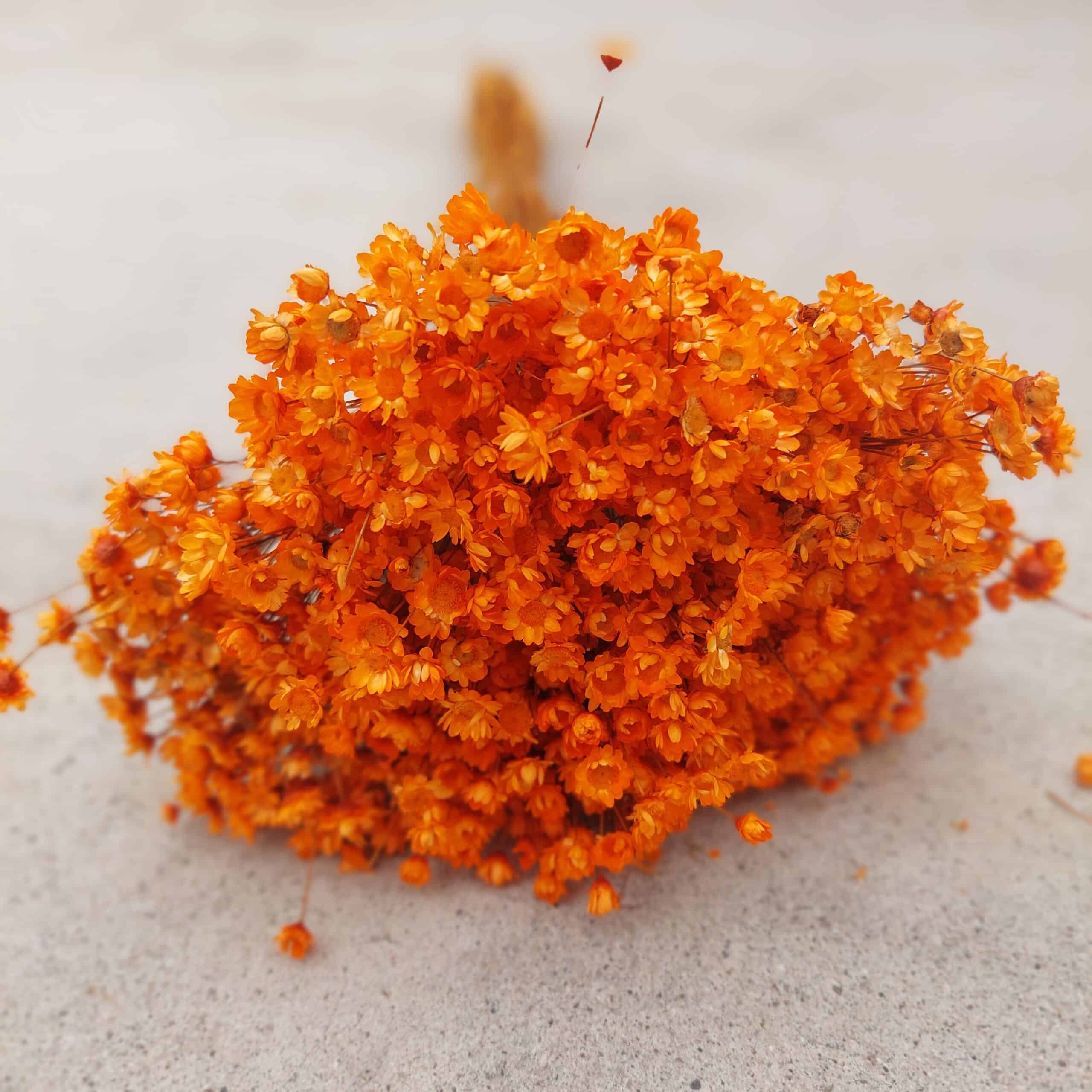 Vibrant orange dried floral bouquet for rustic decor or wedding arrangements.
