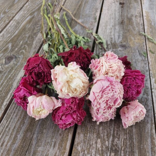 Dried Flower Bunches