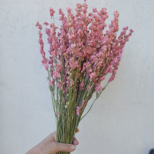 Tall Pink Wildflowers: Dried Larkspur