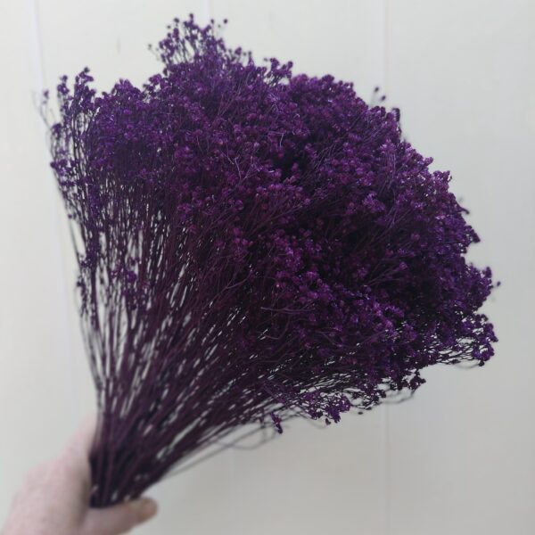 Dark Purple blooms broom: Tiny Filler Flowers