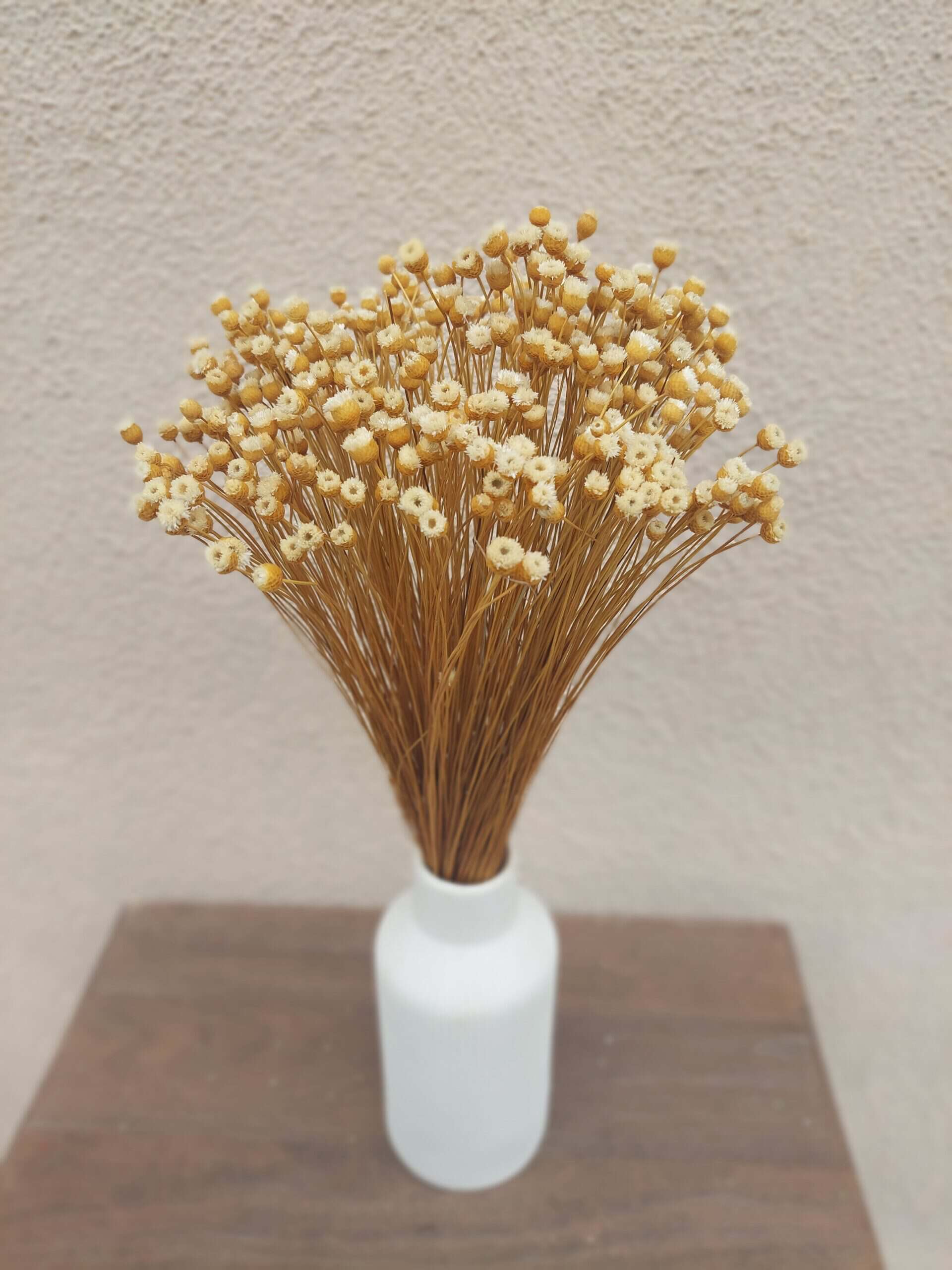 Natural Happy Flowers: Tiny Dried Flowers - Image 2