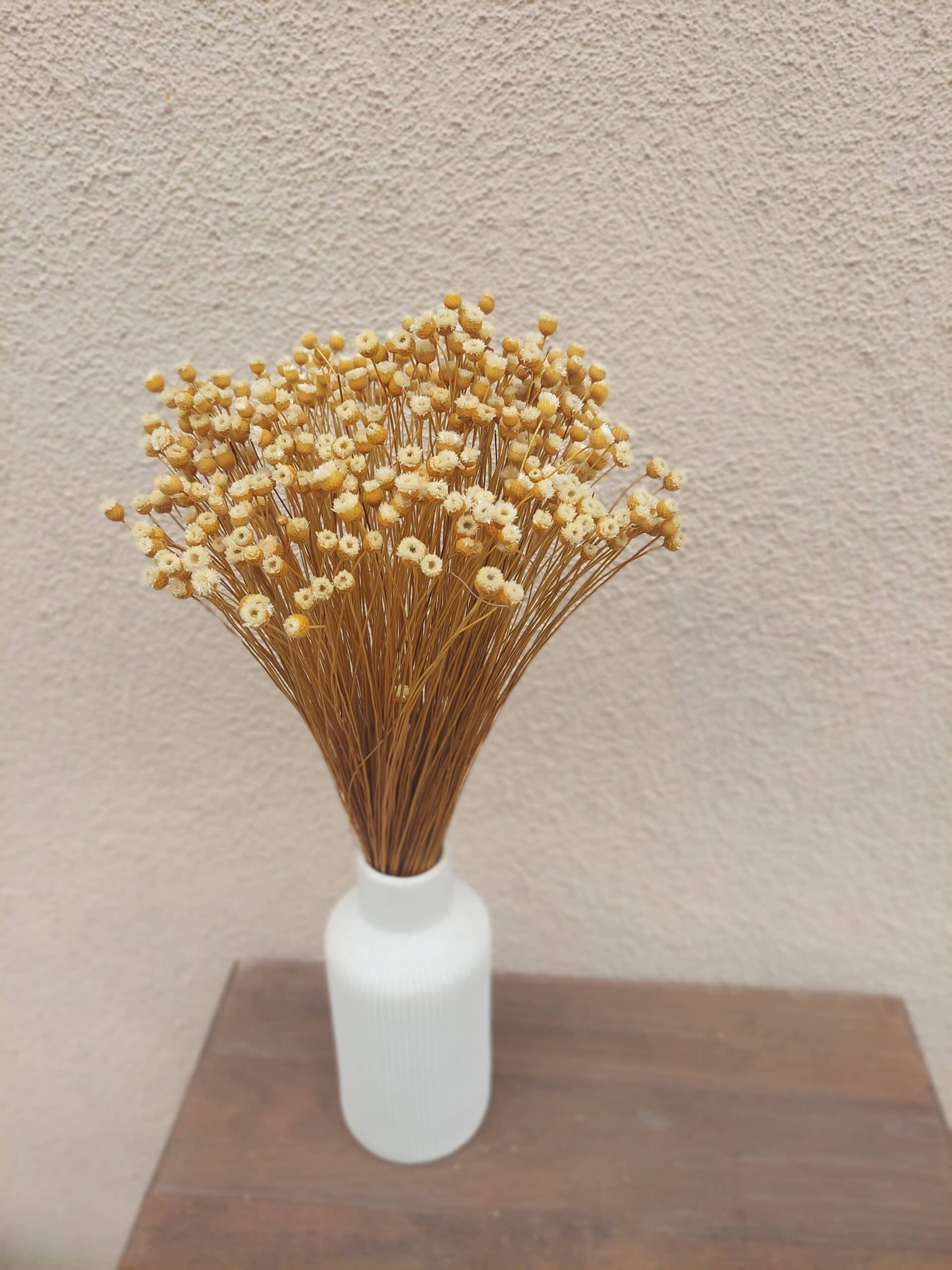 Natural Happy Flowers: Tiny Dried Flowers - Image 5