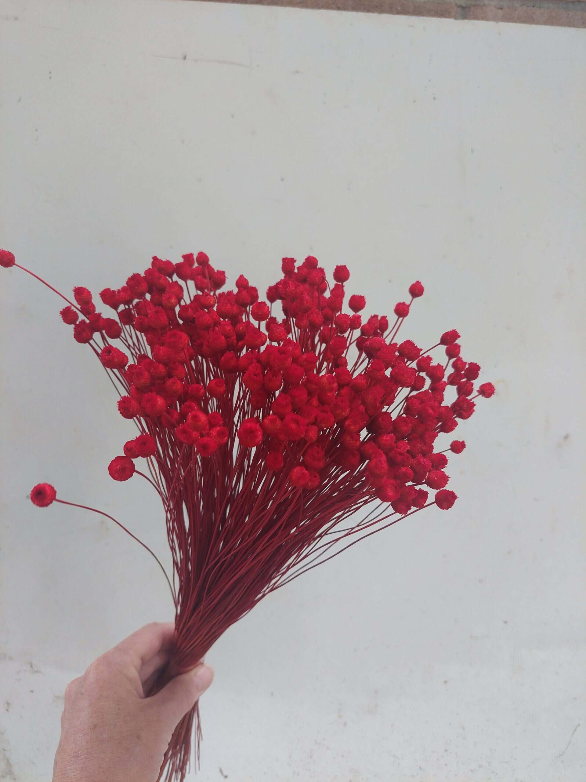 Red Happy Flowers: Tiny Dried Flowers - Image 3