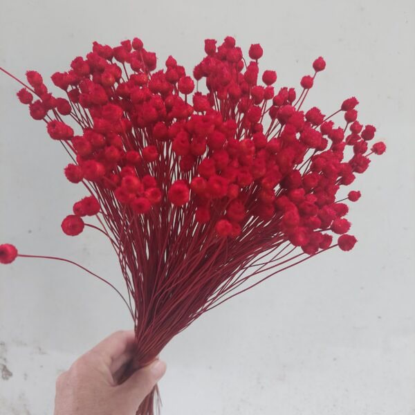 Red Happy Flowers