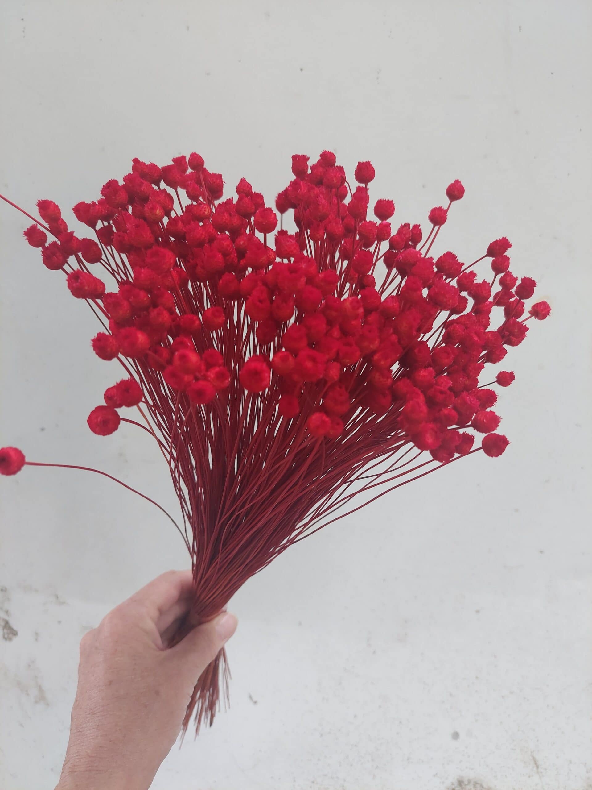 Red Happy Flowers