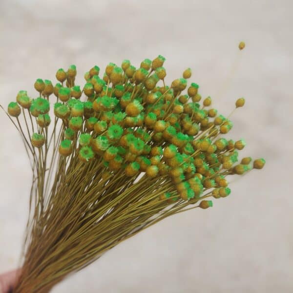 green happy flowers