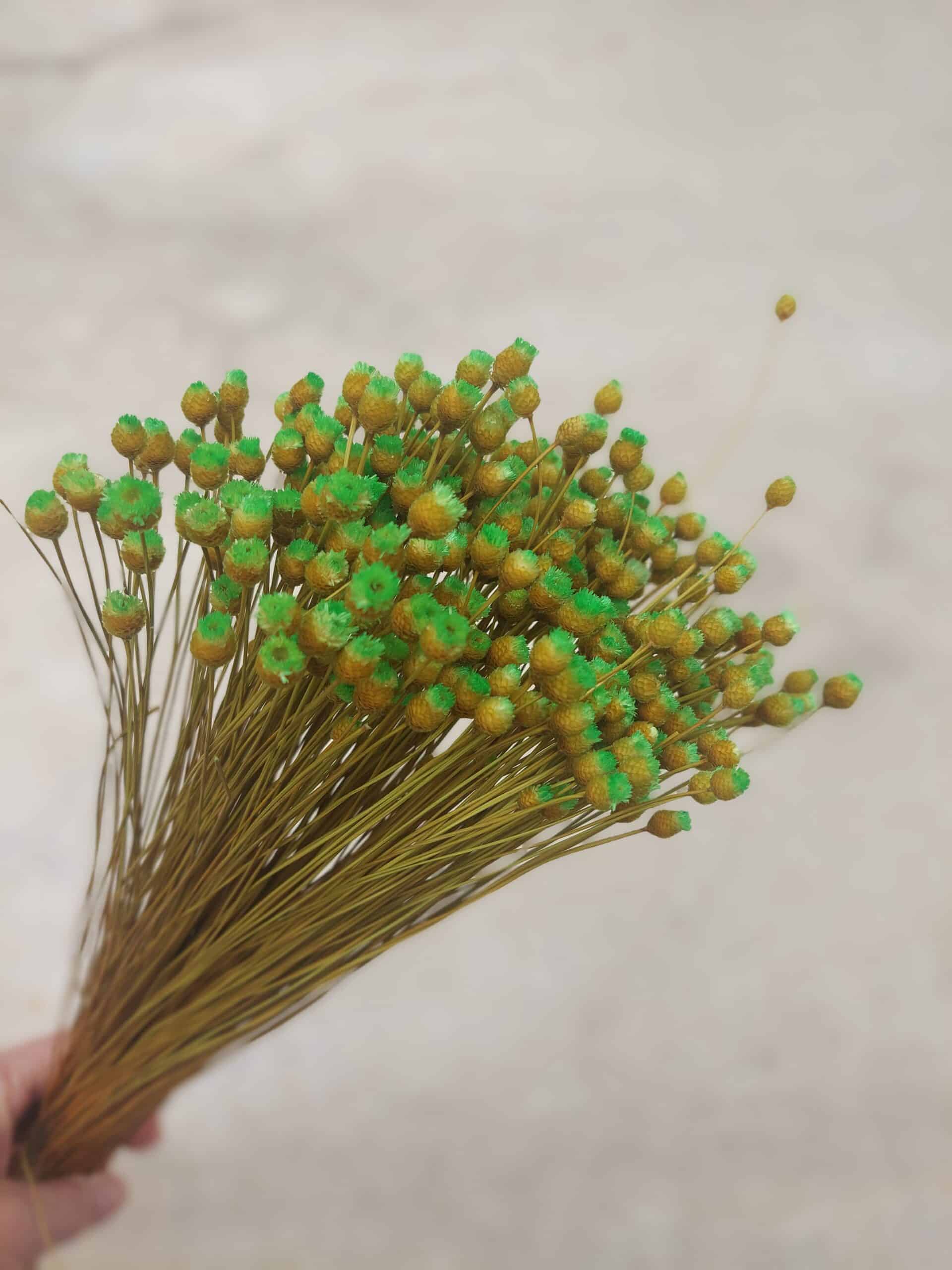 green happy flowers