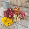 Flowers By The Bunch